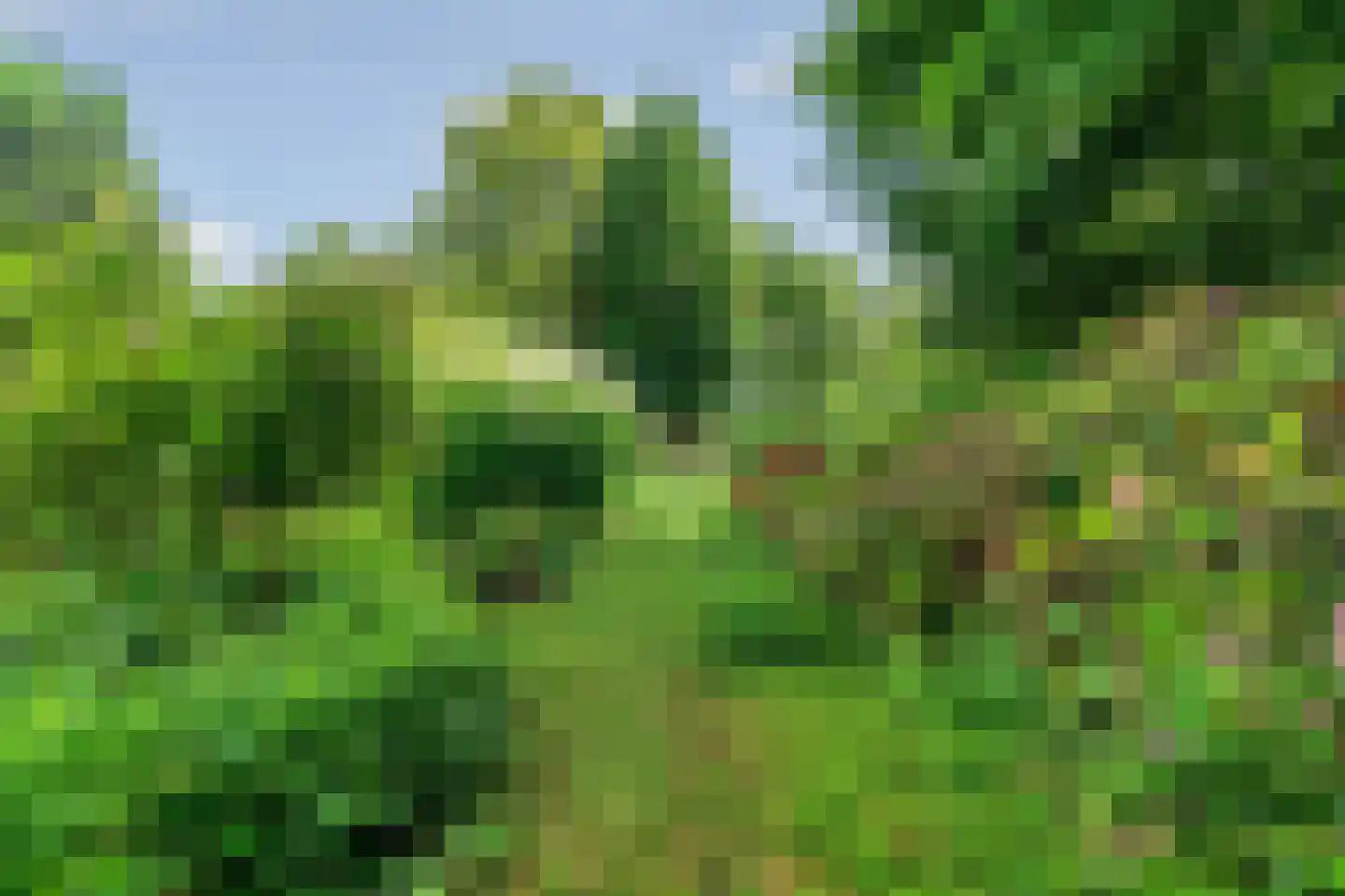 Europalaan 1 Gendt thumbnail 44