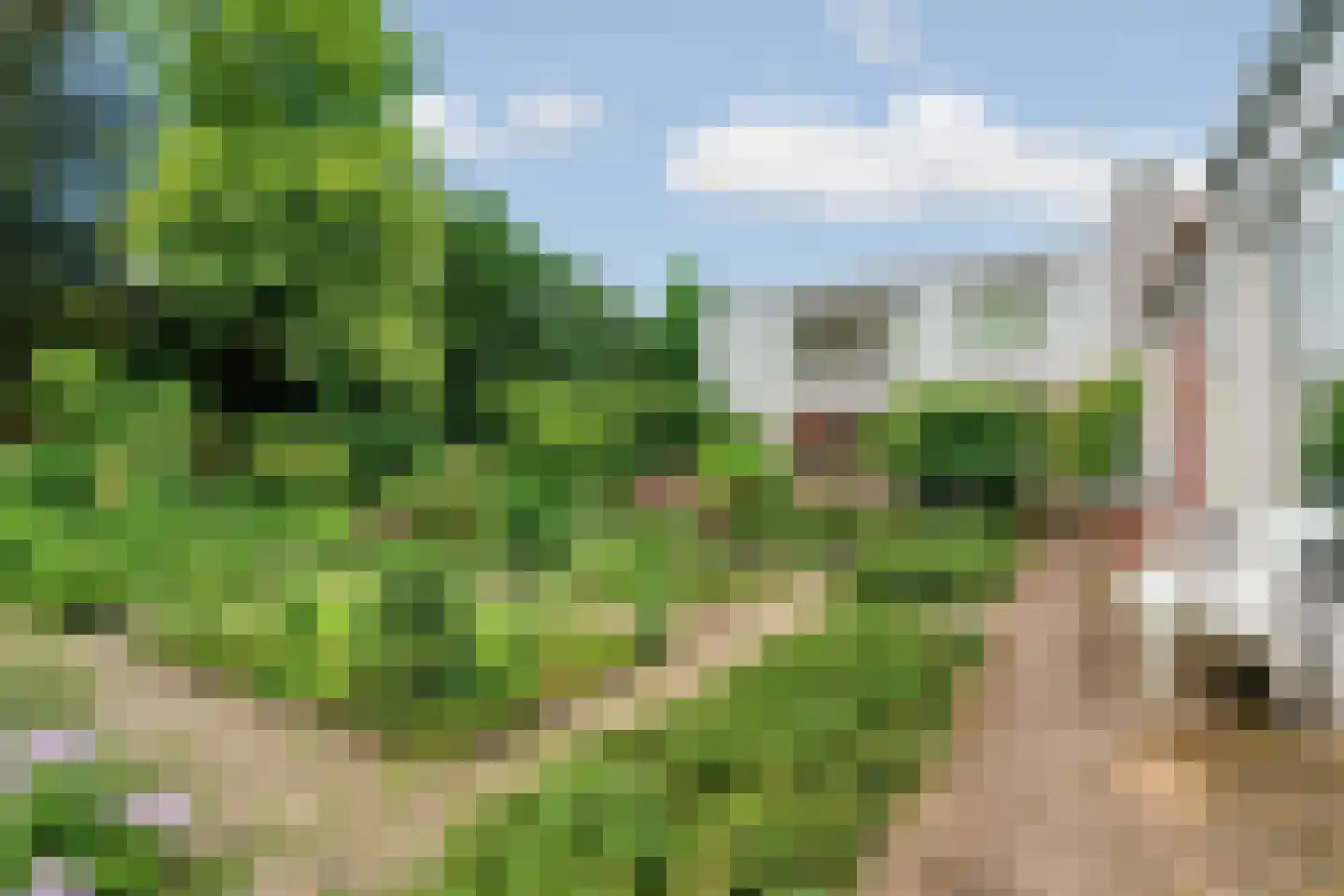 Europalaan 1 Gendt thumbnail 45