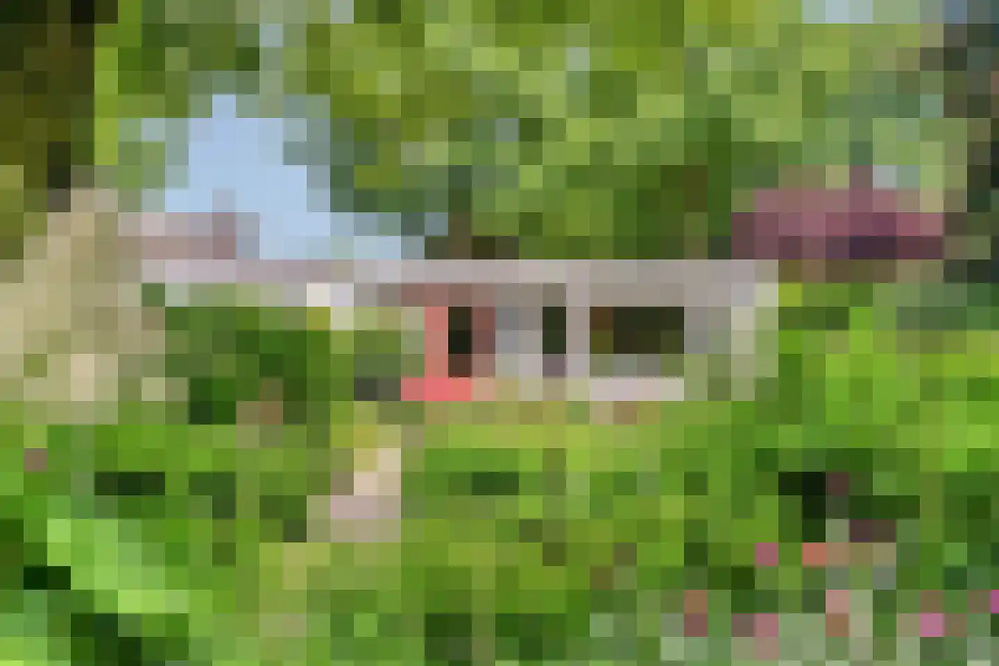 Europalaan 1 Gendt thumbnail 48