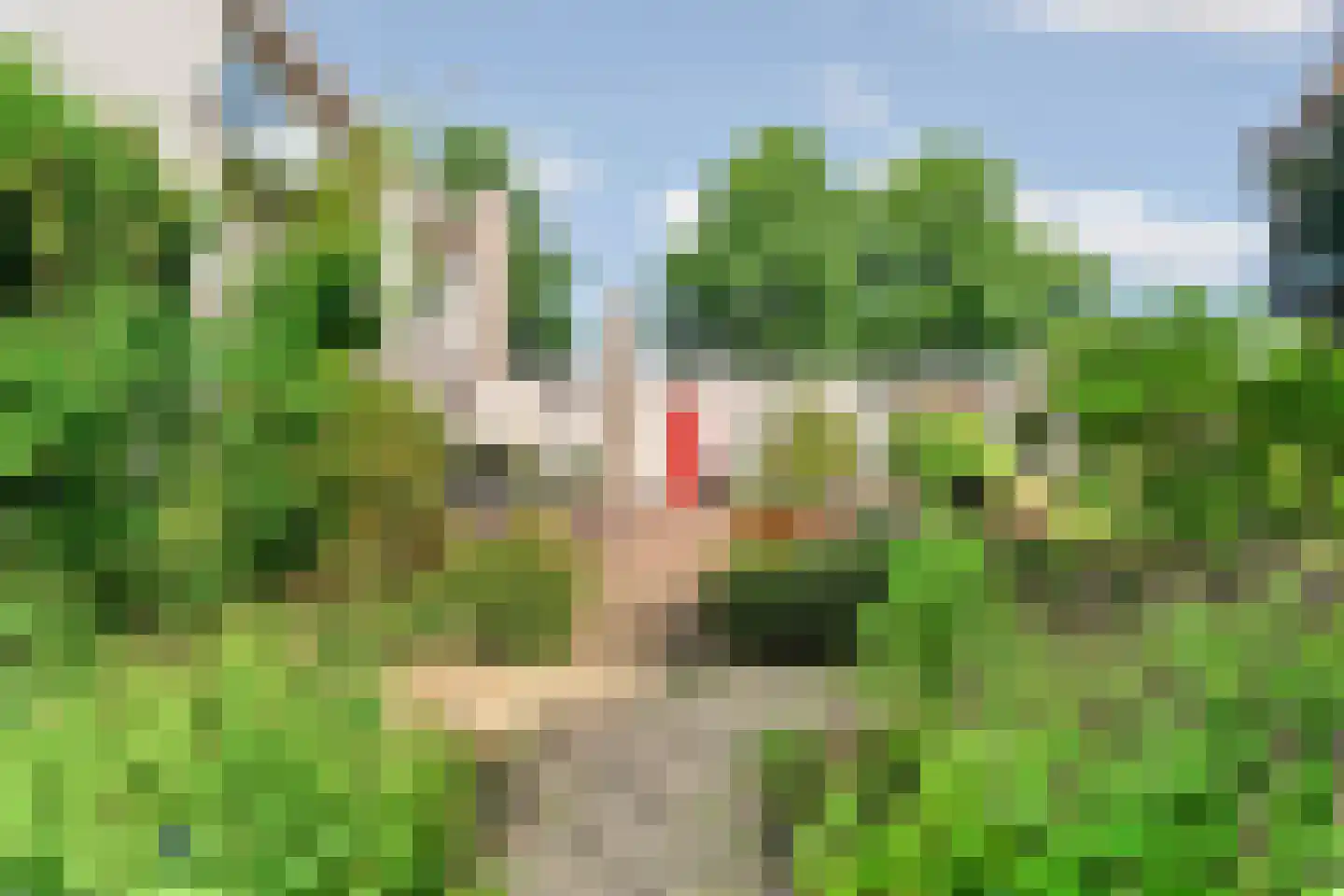 Europalaan 1 Gendt thumbnail 51