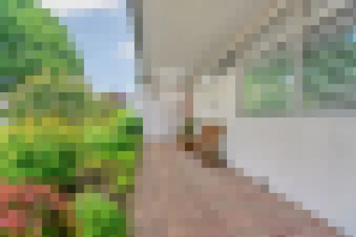 Europalaan 1 Gendt thumbnail 52