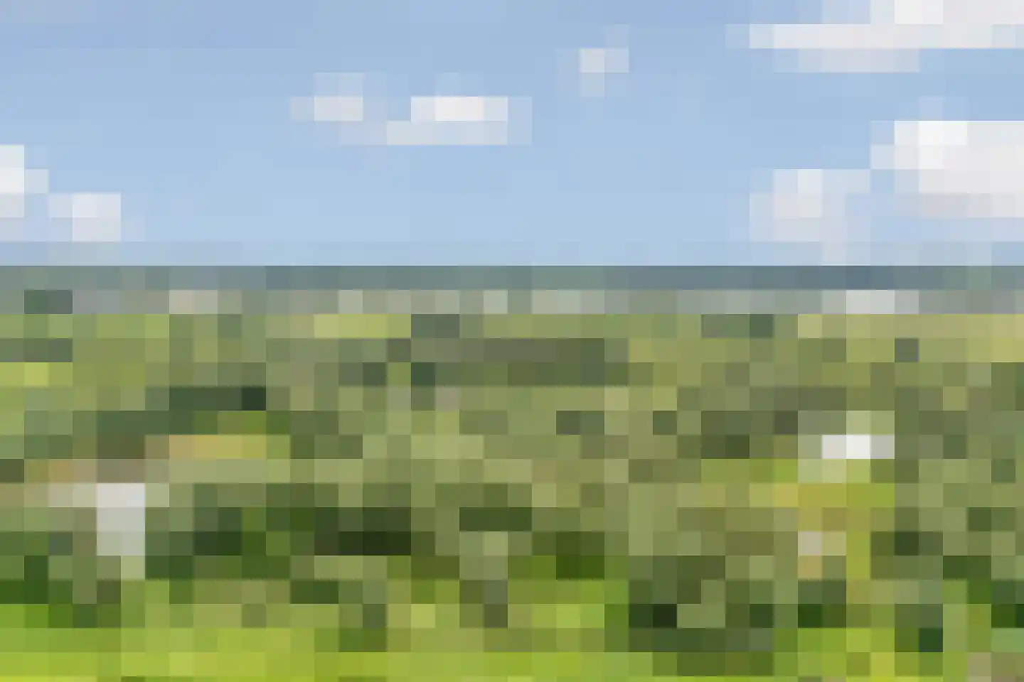 Europalaan 1 Gendt thumbnail 57