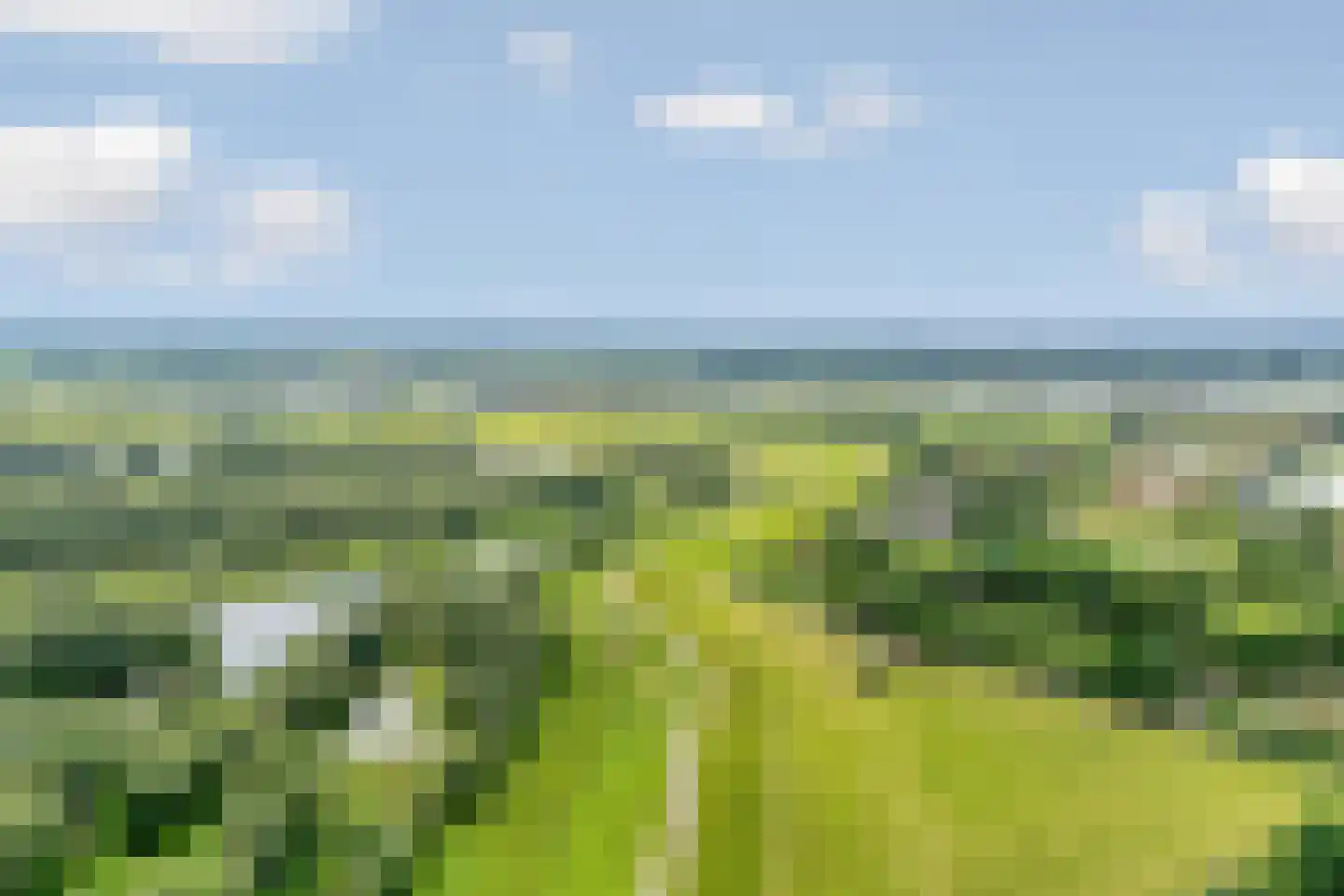 Europalaan 1 Gendt thumbnail 58