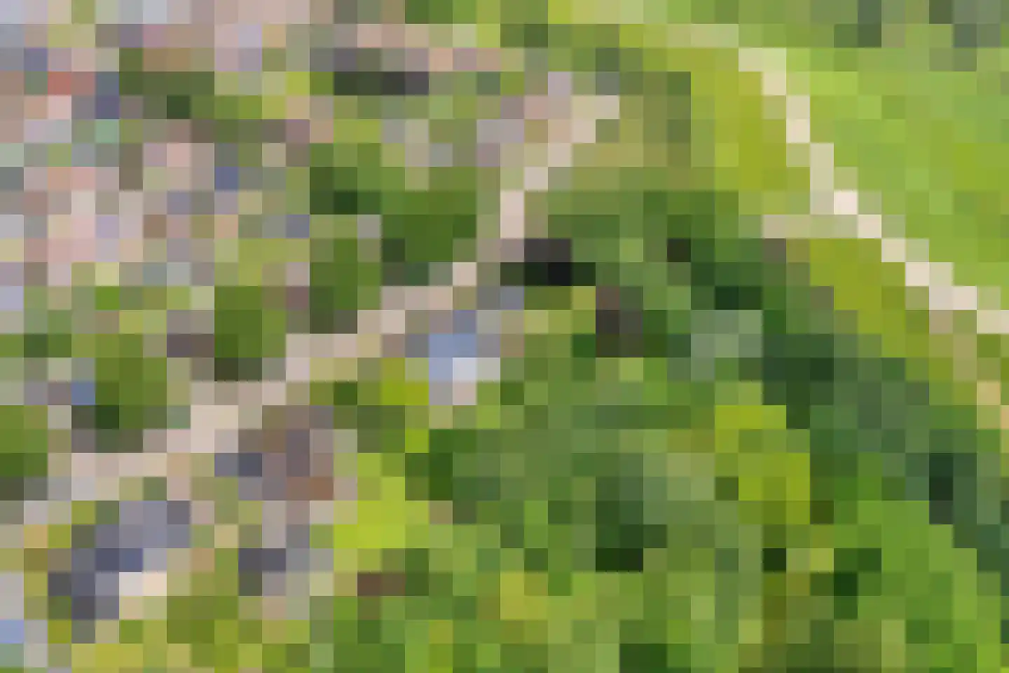 Europalaan 1 Gendt thumbnail 59