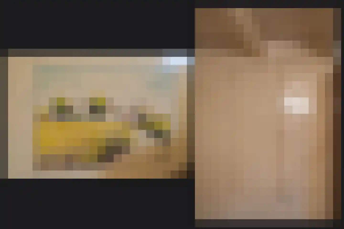 Europalaan 1 Maarssen thumbnail 19