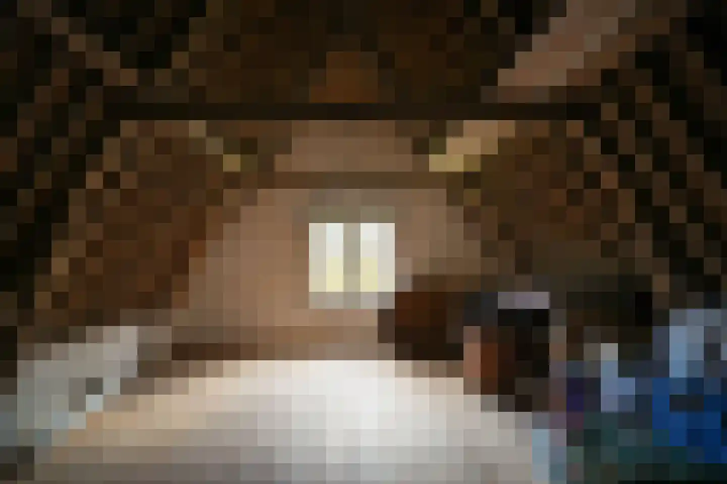 Europalaan 1 Maarssen thumbnail 31