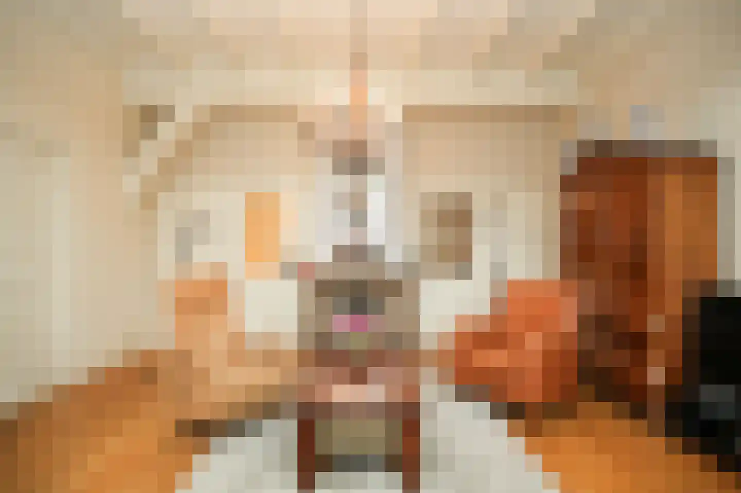 Europalaan 1 Maarssen thumbnail 5