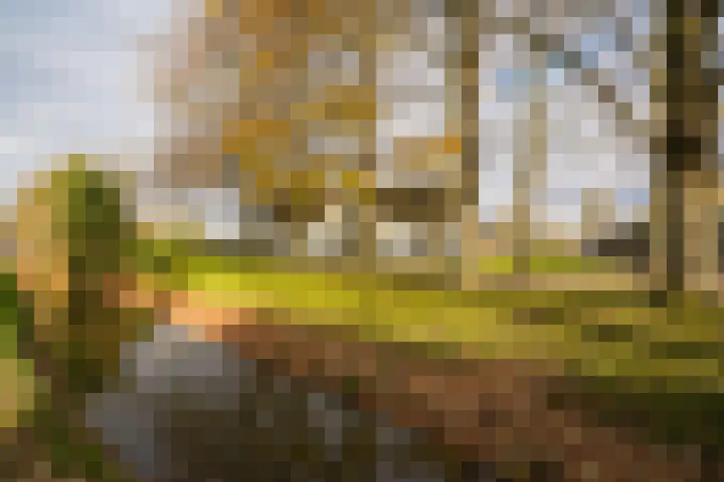 Europalaan 1 Maarssen thumbnail 58