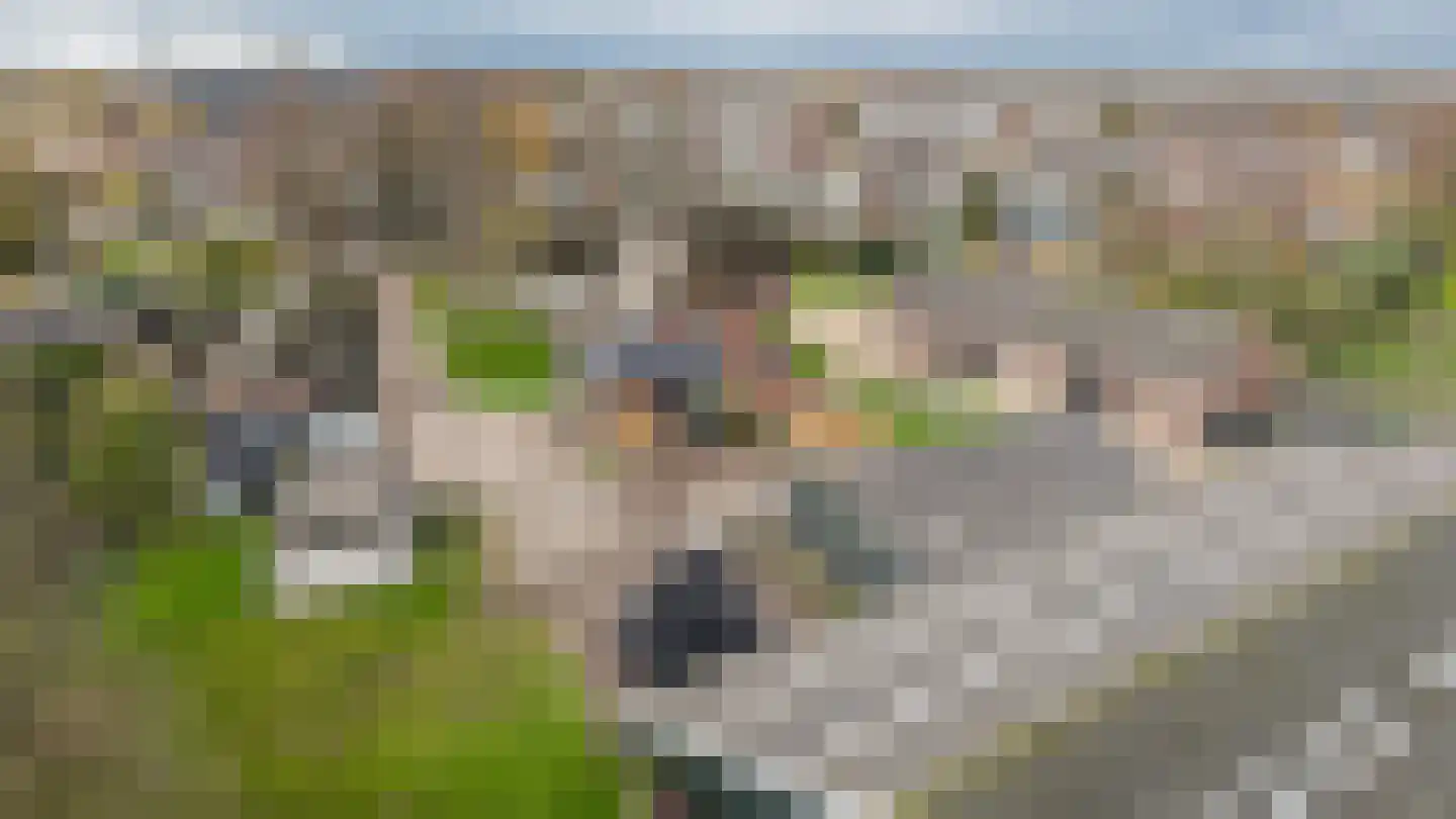Europalaan 1 Maarssen thumbnail 63