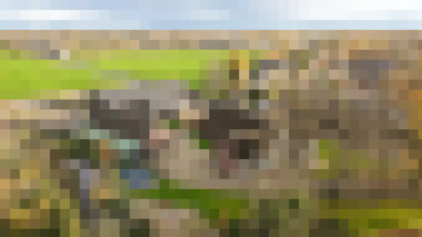 Europalaan 1 Maarssen thumbnail 64