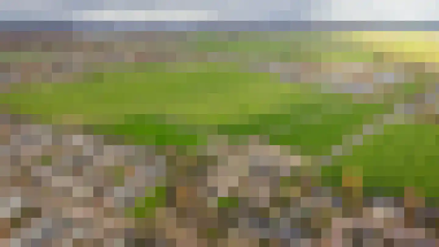 Europalaan 1 Maarssen thumbnail 65