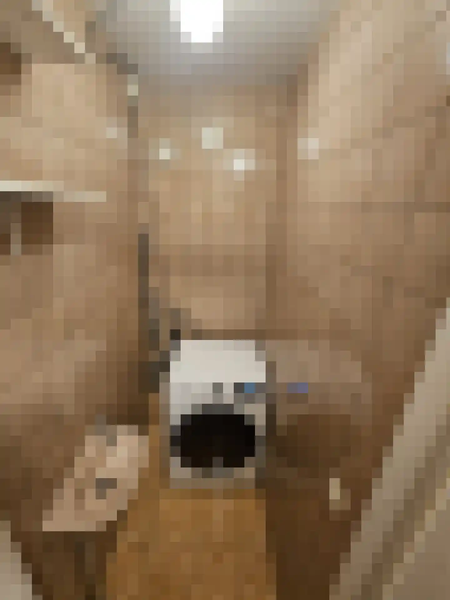 Europalaan 10 Eindhoven thumbnail 18
