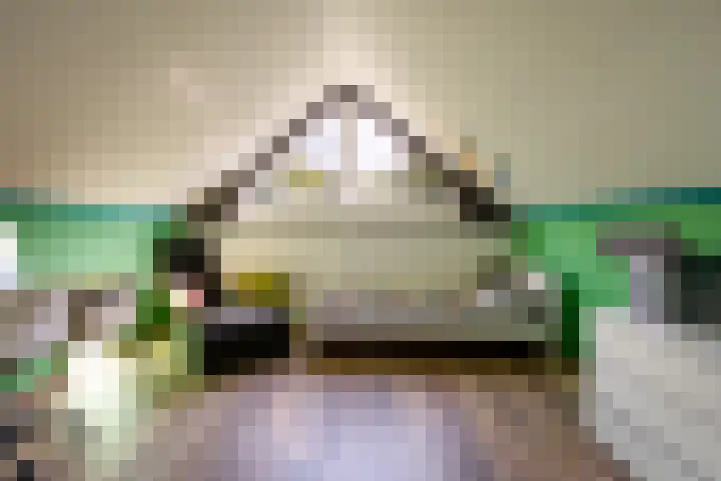 Europalaan 10 Putte thumbnail 26