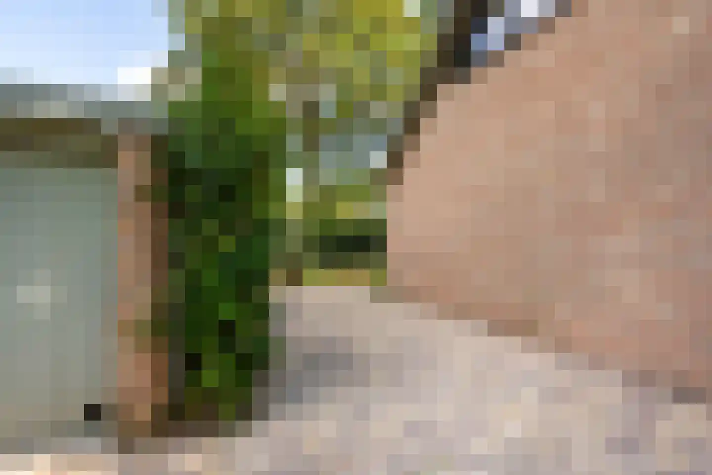 Europalaan 10 Putte thumbnail 36