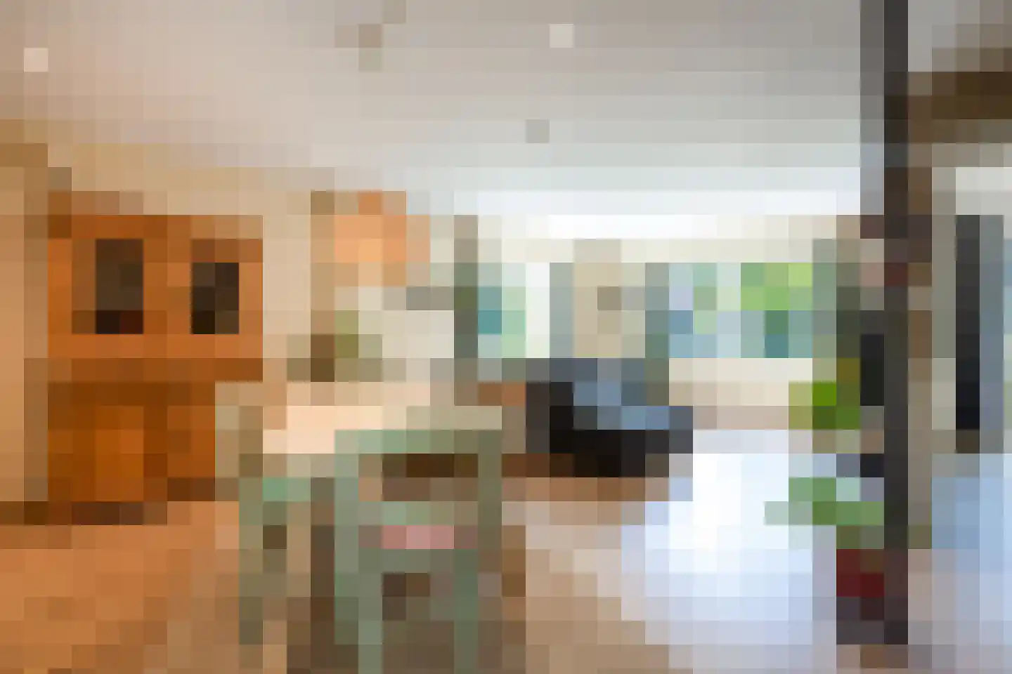 Europalaan 10 Putte thumbnail 4