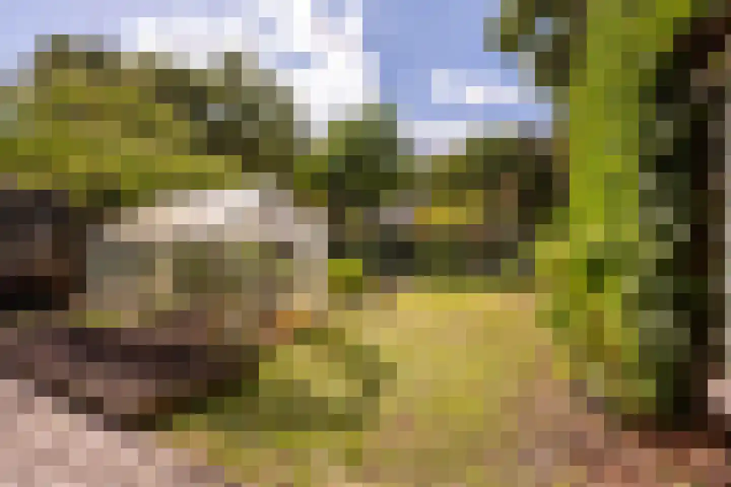 Europalaan 10 Putte thumbnail 40