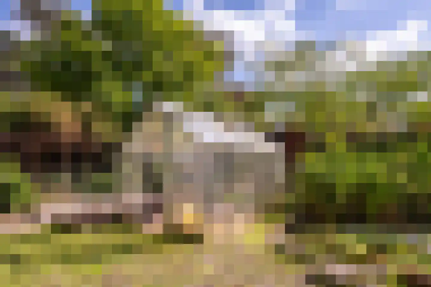 Europalaan 10 Putte thumbnail 41