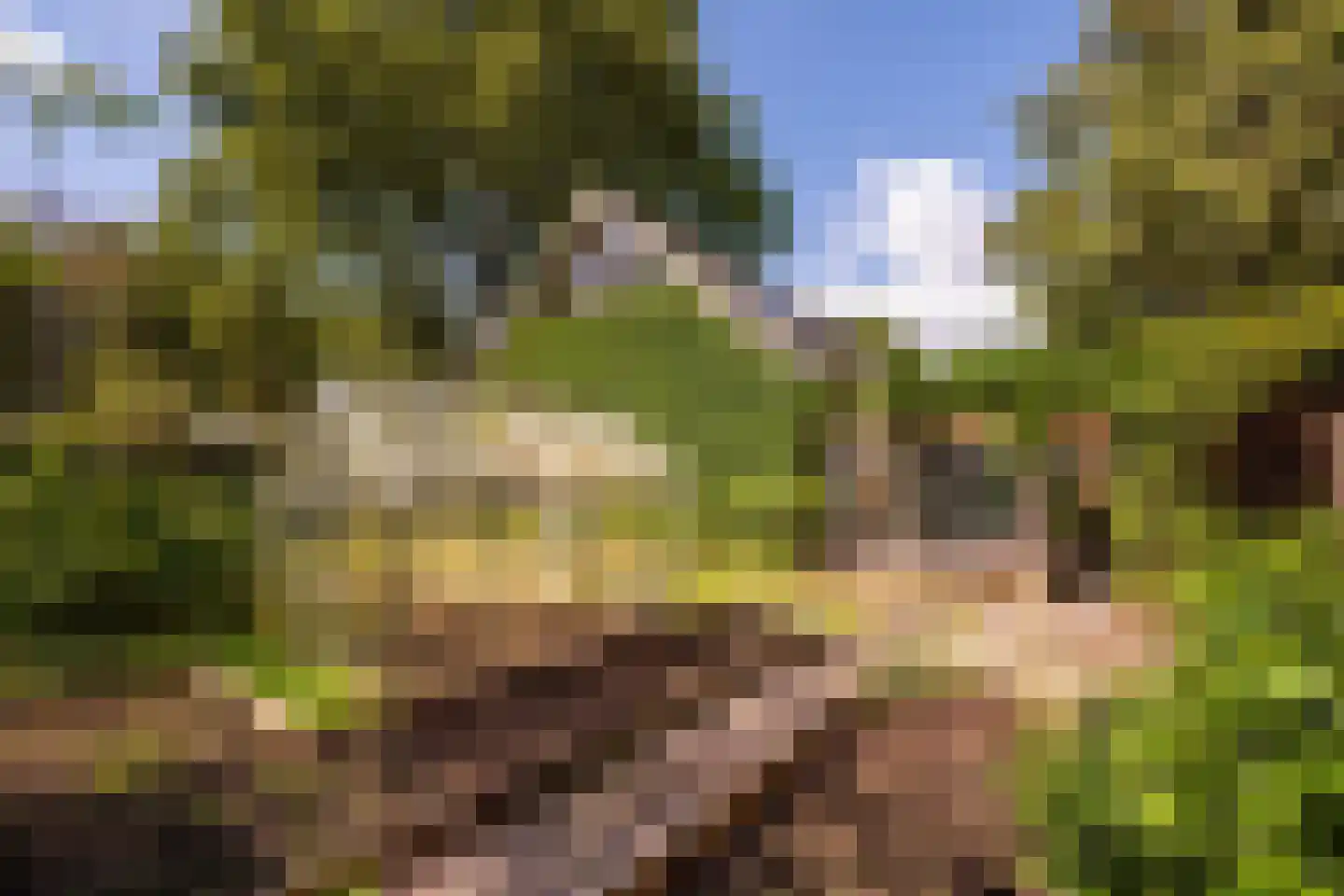 Europalaan 10 Putte thumbnail 42