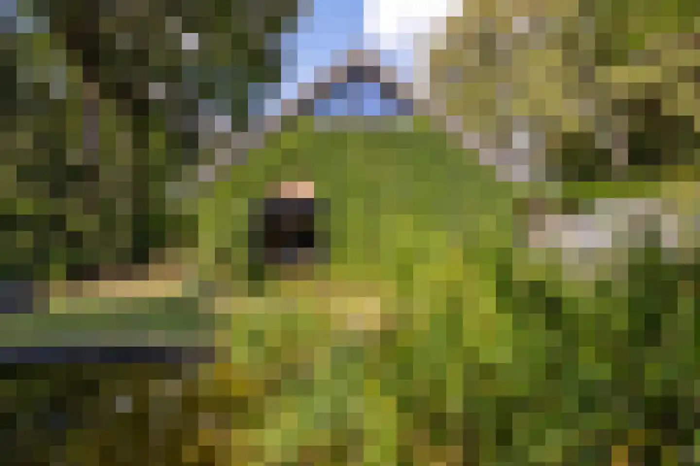 Europalaan 10 Putte thumbnail 43
