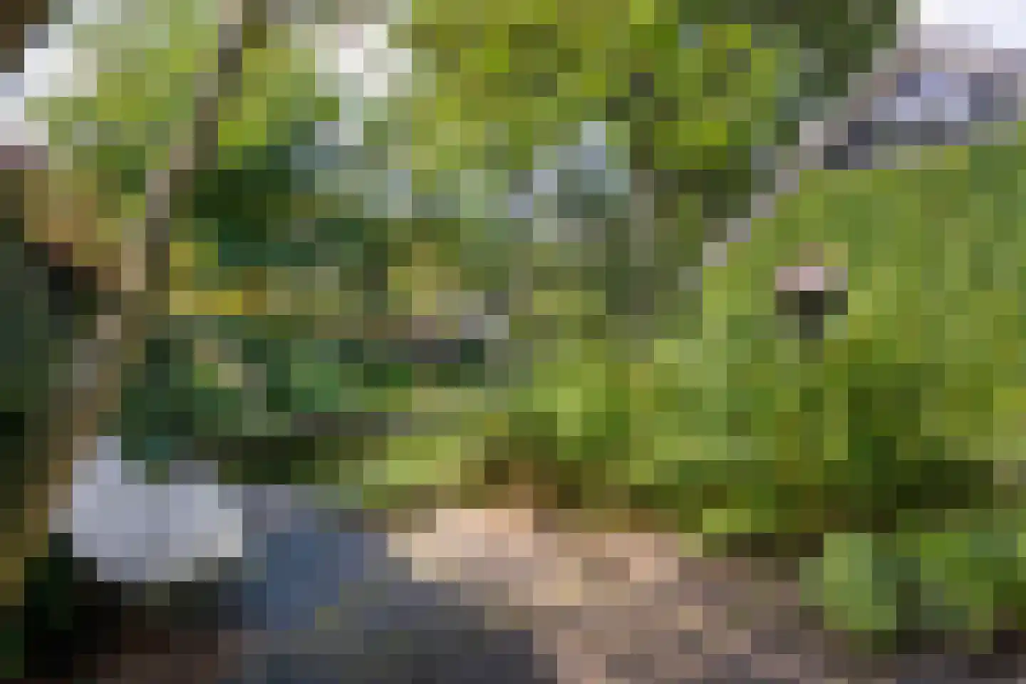 Europalaan 10 Putte thumbnail 44