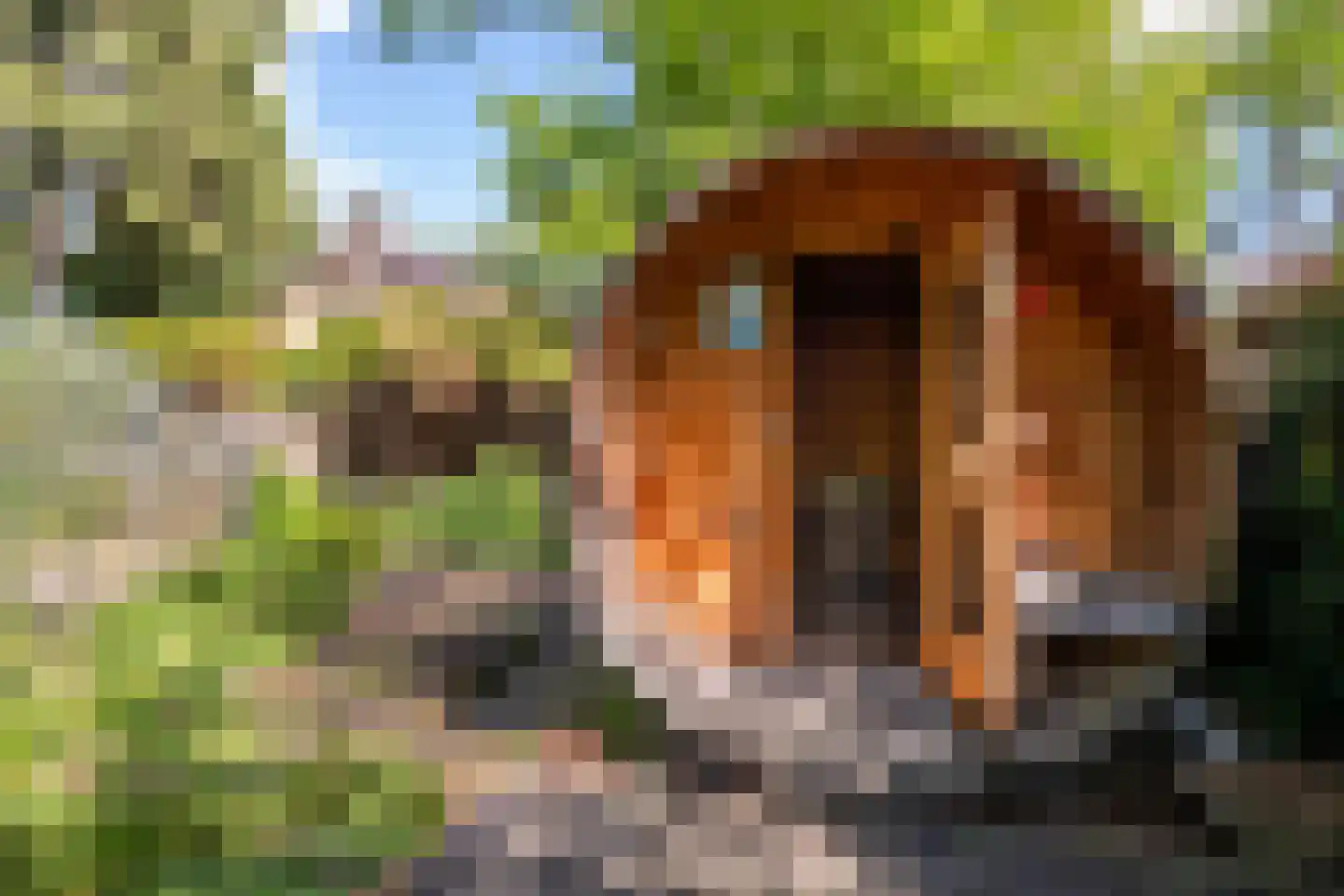 Europalaan 10 Putte thumbnail 45