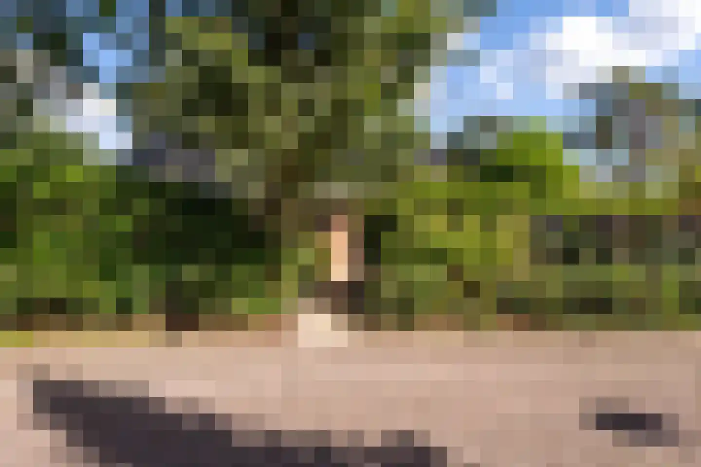 Europalaan 10 Putte thumbnail 47