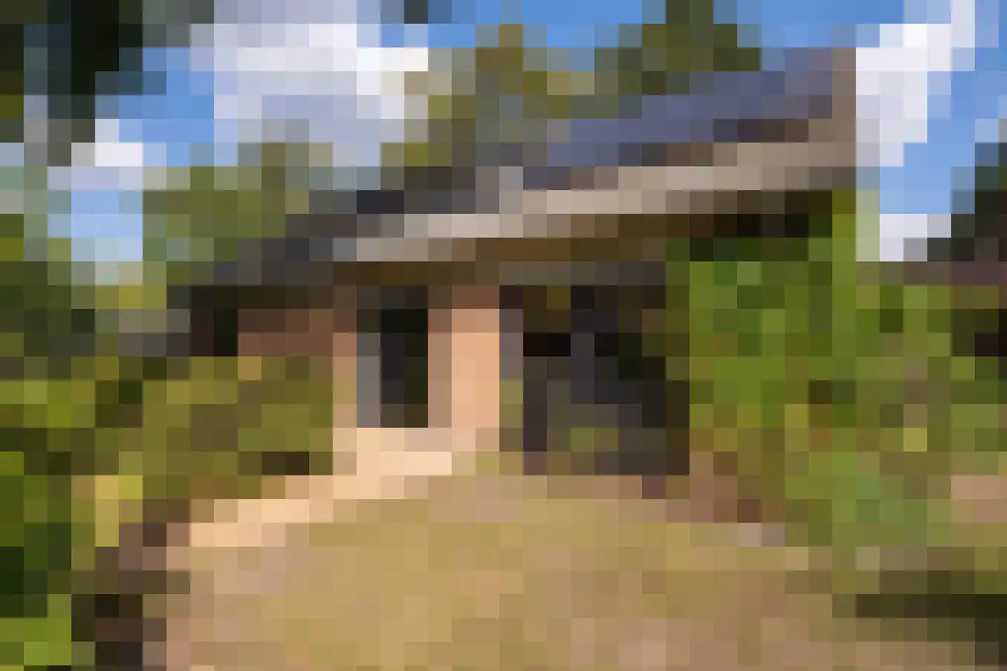 Europalaan 10 Putte thumbnail 6