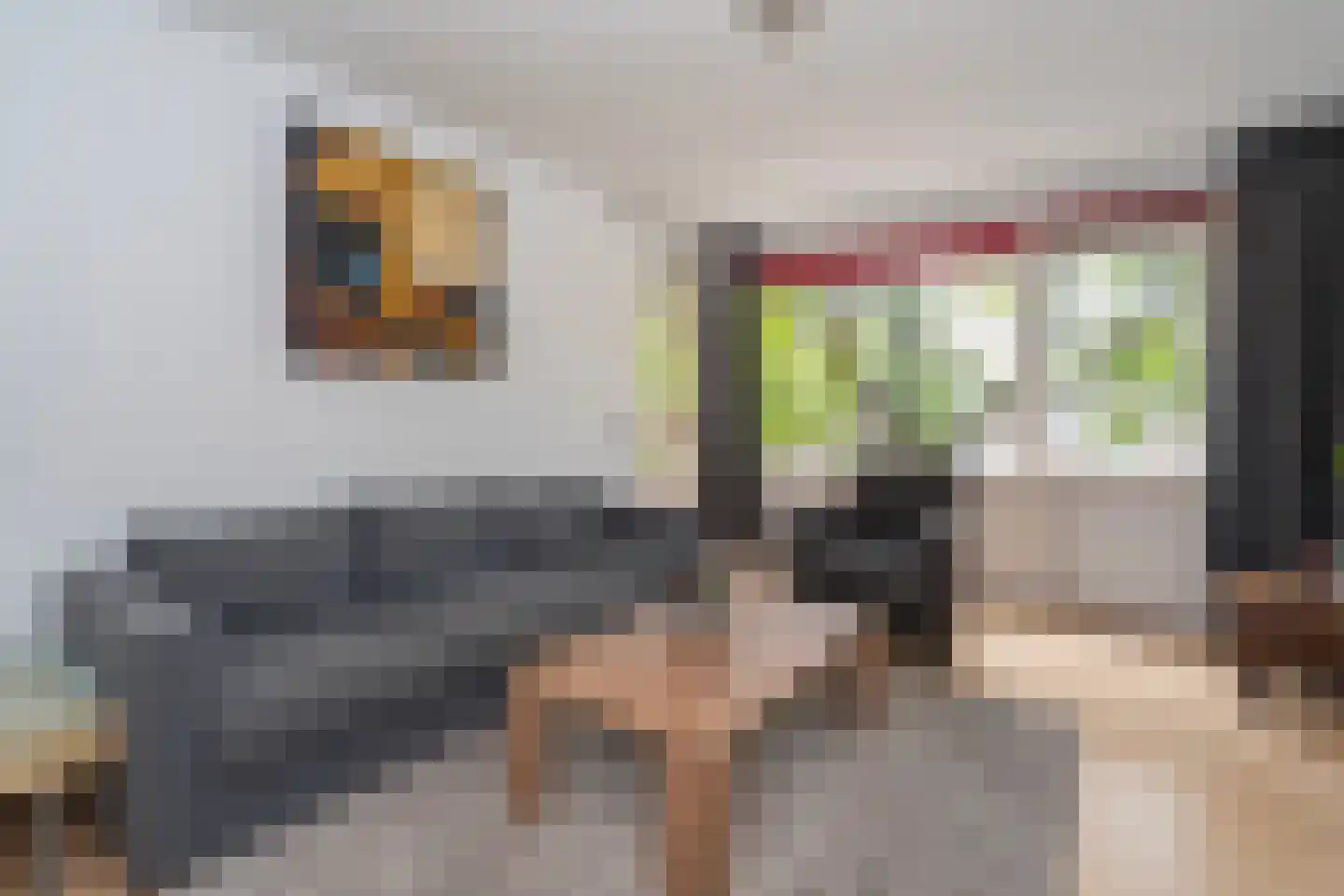 Europalaan 101 Tilburg thumbnail 13