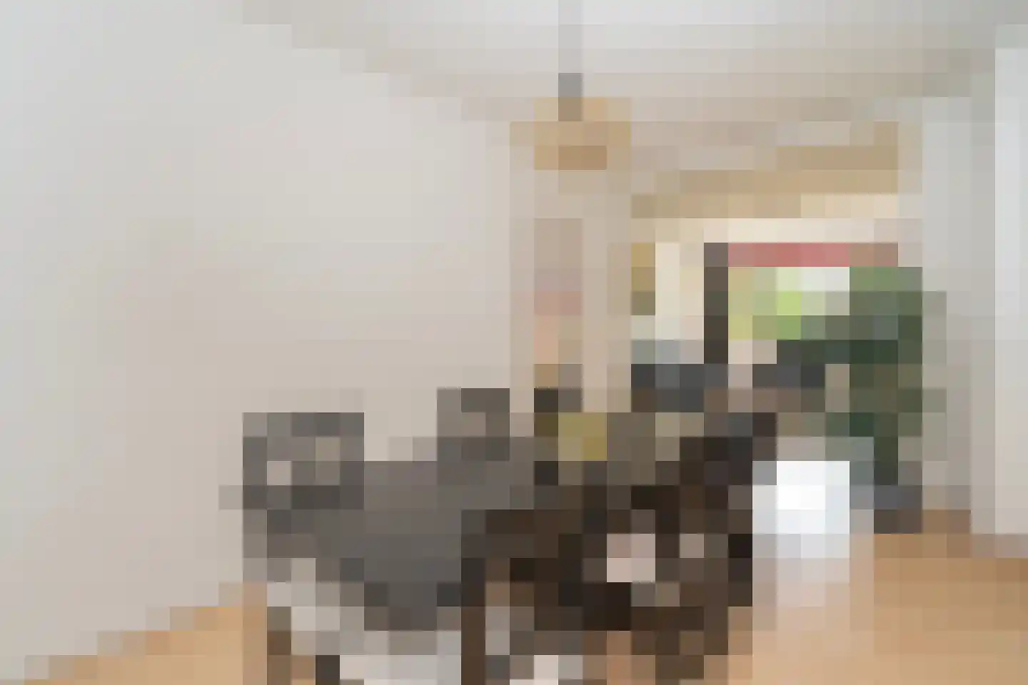 Europalaan 101 Tilburg thumbnail 18