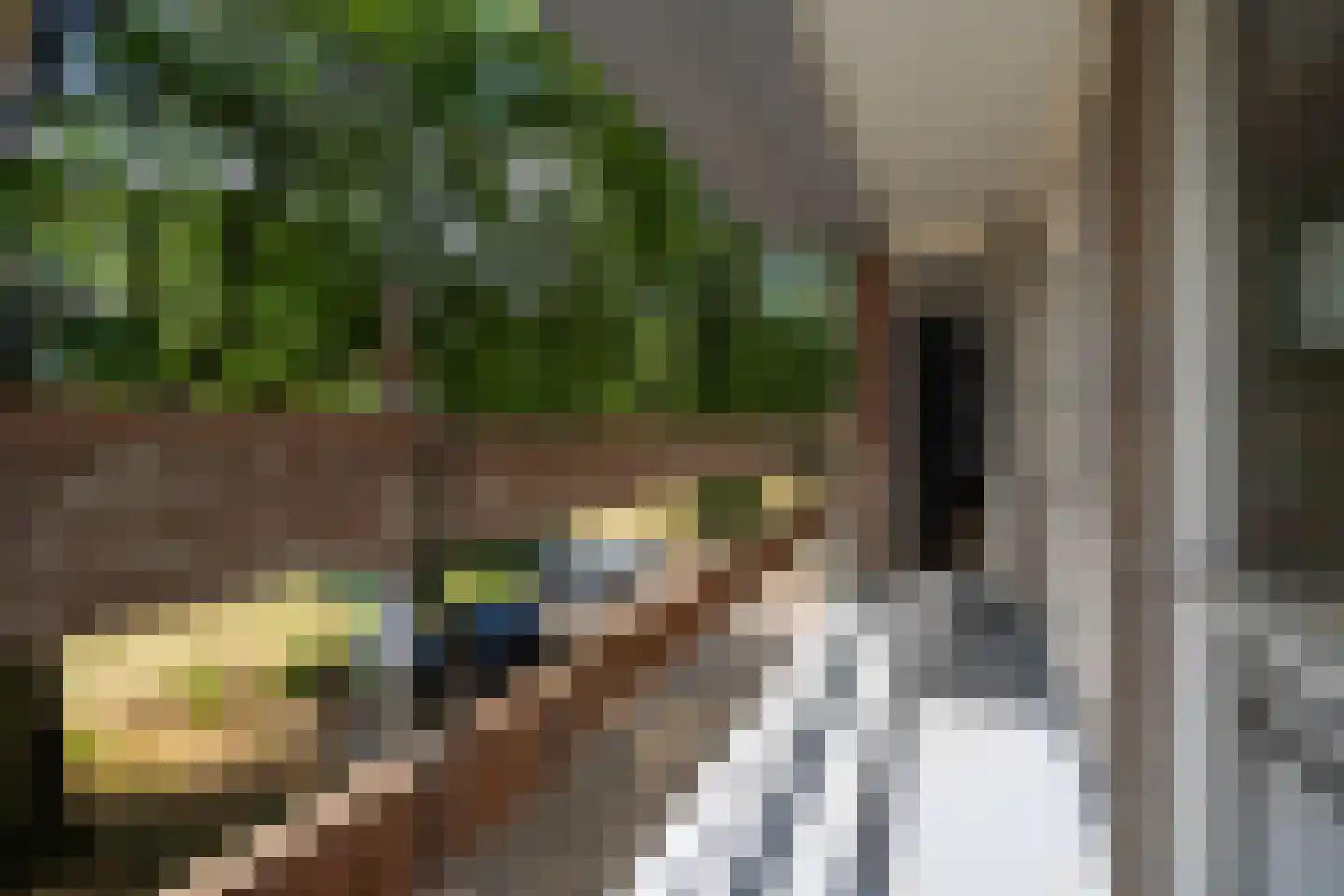 Europalaan 101 Tilburg thumbnail 20