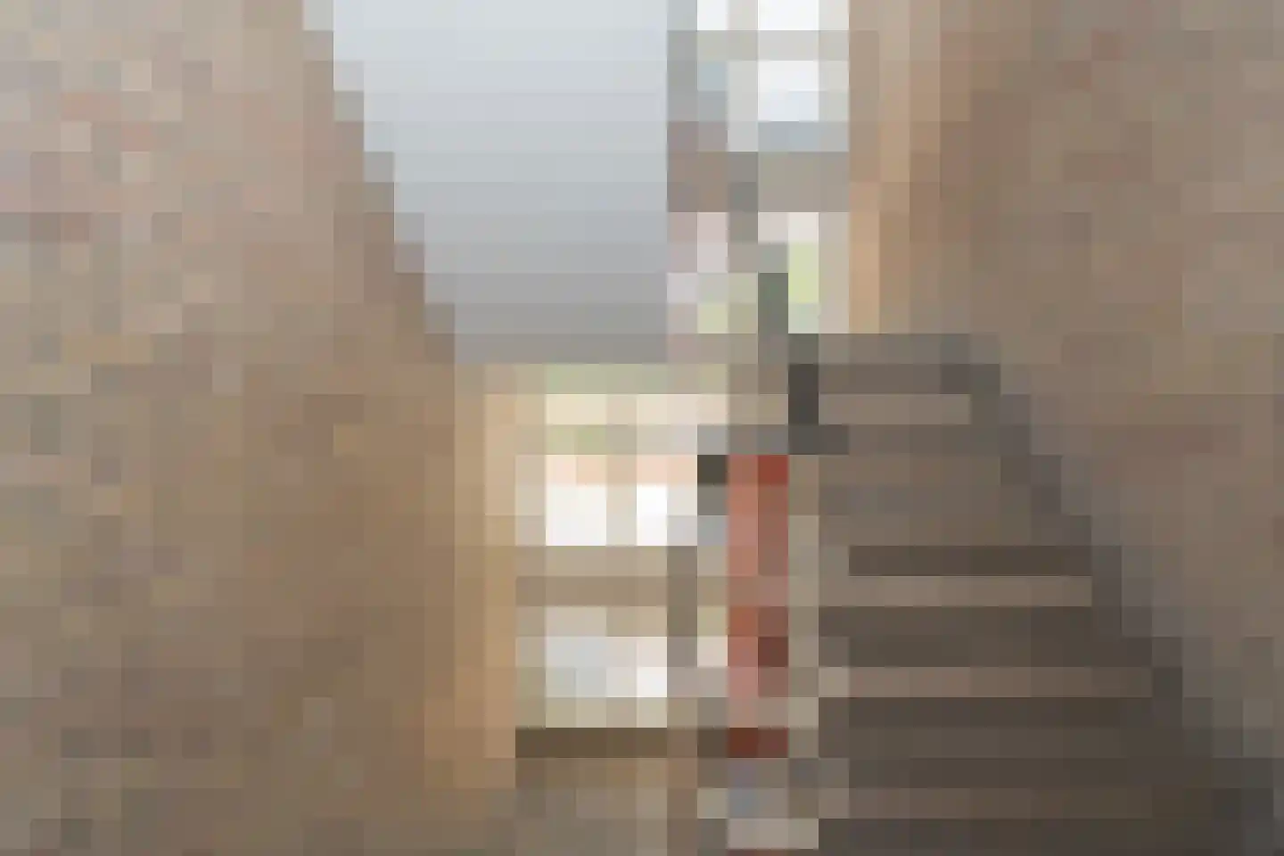 Europalaan 101 Tilburg thumbnail 9
