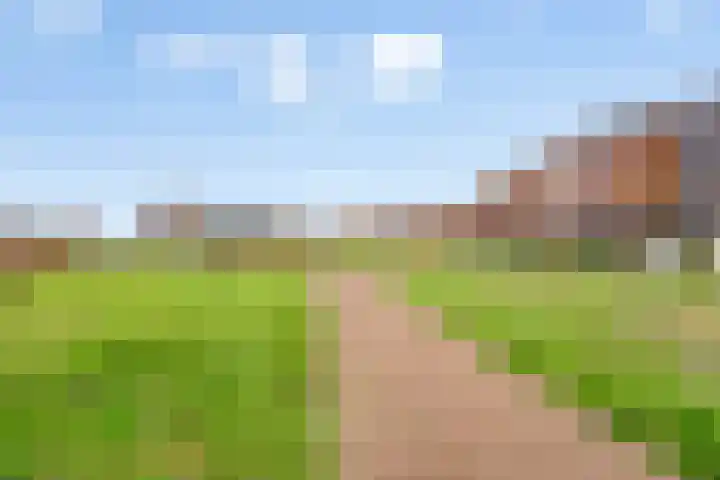 Europalaan 1011 Almere thumbnail 31