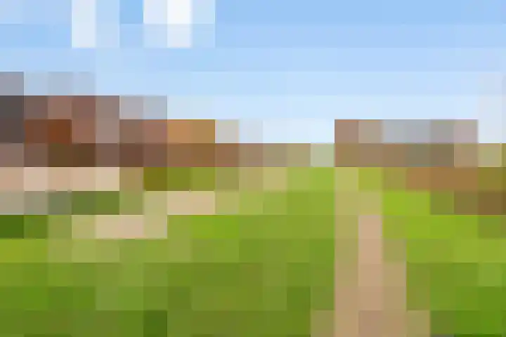 Europalaan 1011 Almere thumbnail 32