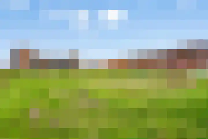 Europalaan 1011 Almere thumbnail 33