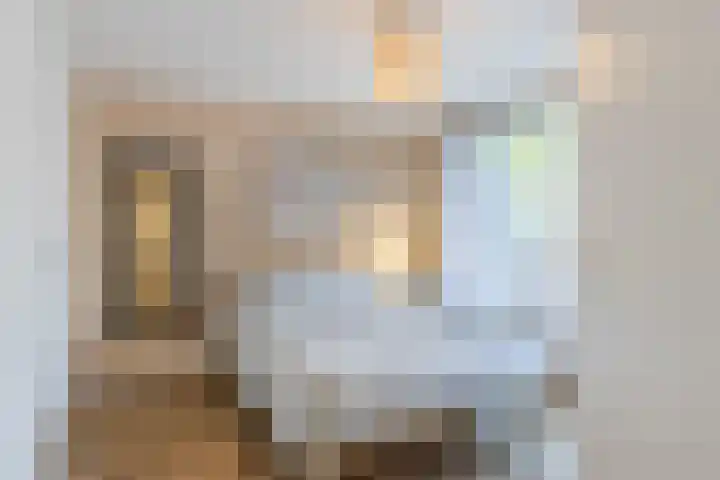Europalaan 104 Tilburg thumbnail 15