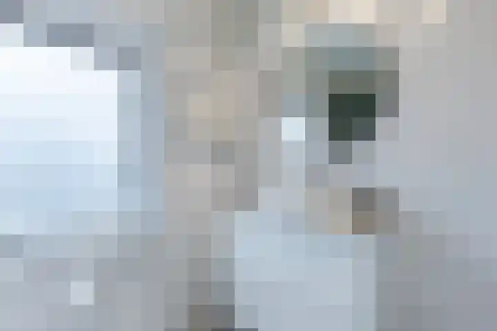 Europalaan 104 Tilburg thumbnail 19