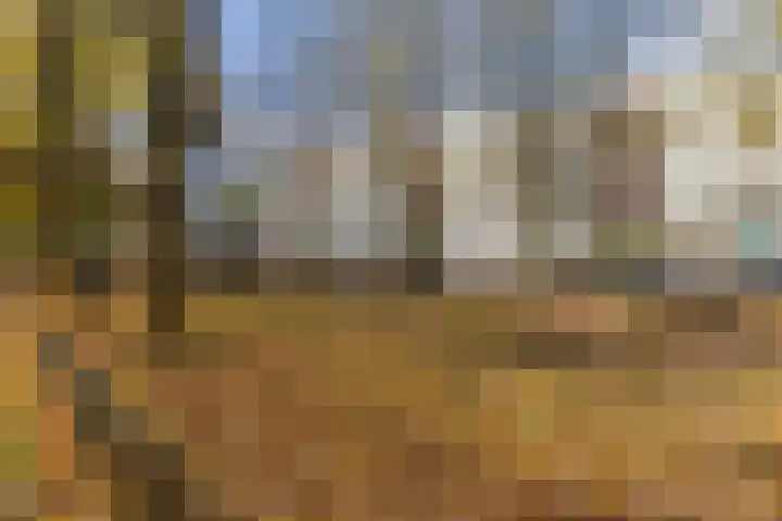 Europalaan 104 Tilburg thumbnail 25