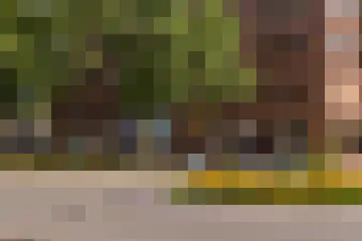 Europalaan 108 Stadskanaal thumbnail 10