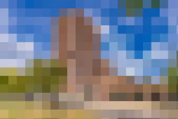 Europalaan 108 Stadskanaal thumbnail 6
