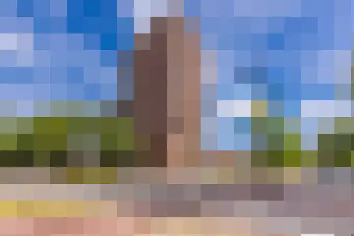 Europalaan 108 Stadskanaal thumbnail 8