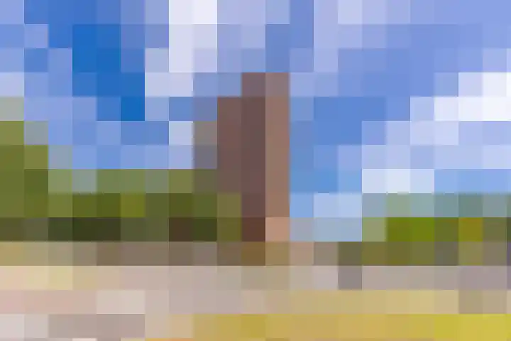 Europalaan 108 Stadskanaal thumbnail 9