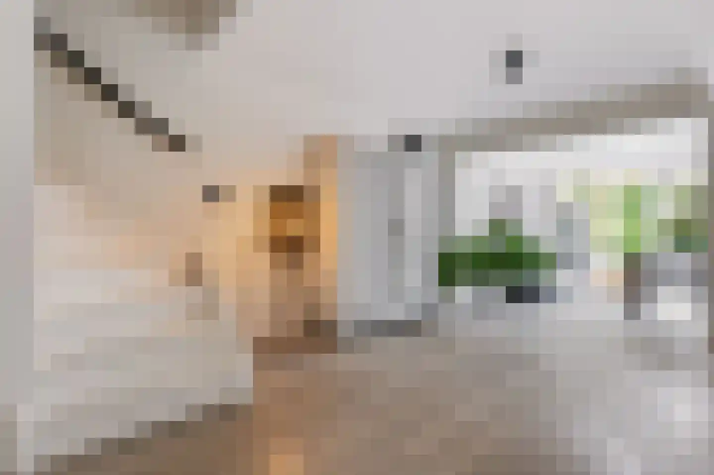 Europalaan 11 Harderwijk thumbnail 18