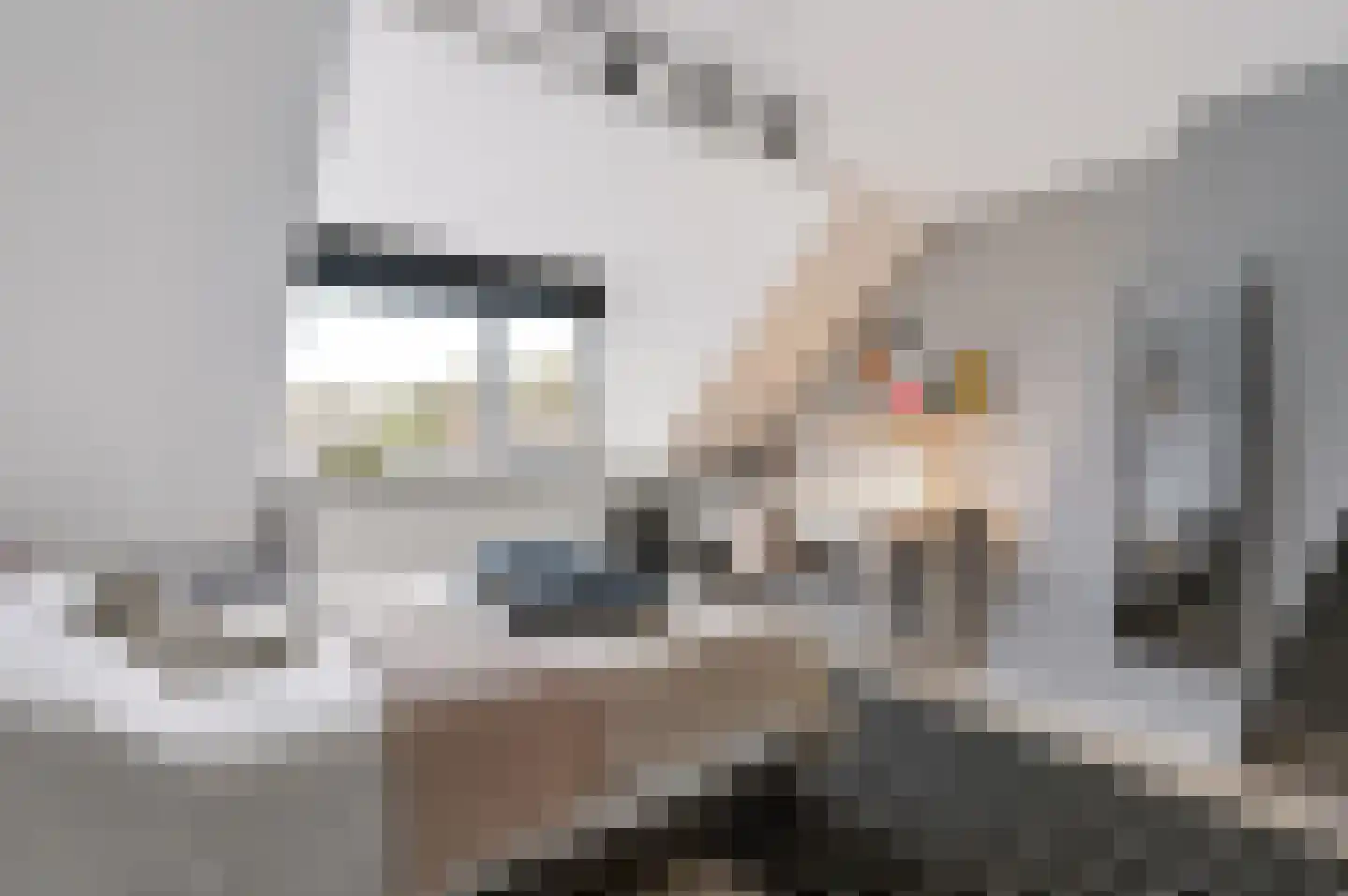 Europalaan 11 Harderwijk thumbnail 43