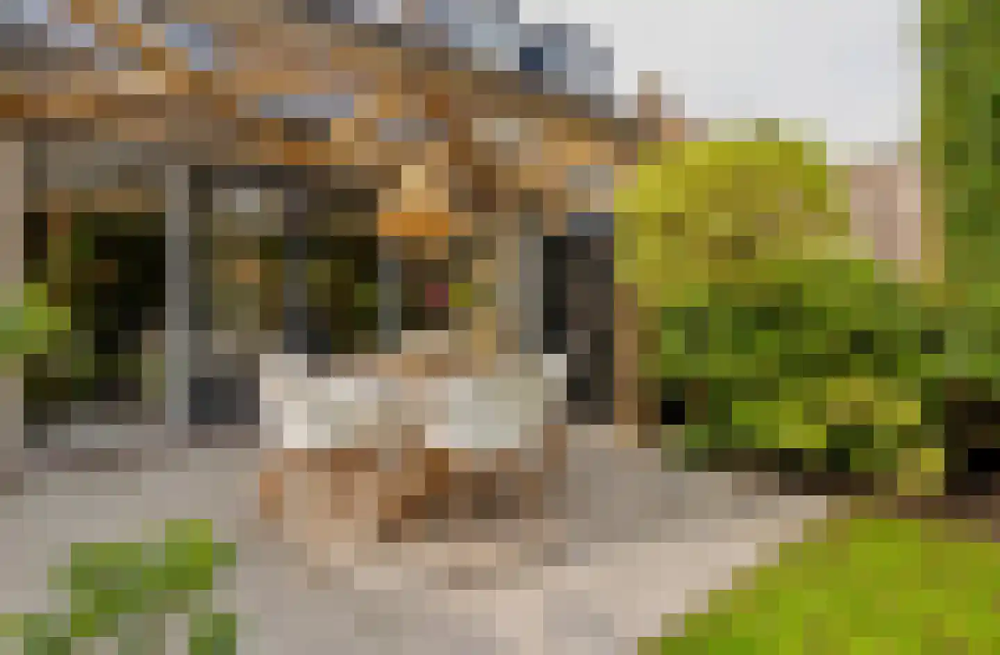 Europalaan 11 Harderwijk thumbnail 47