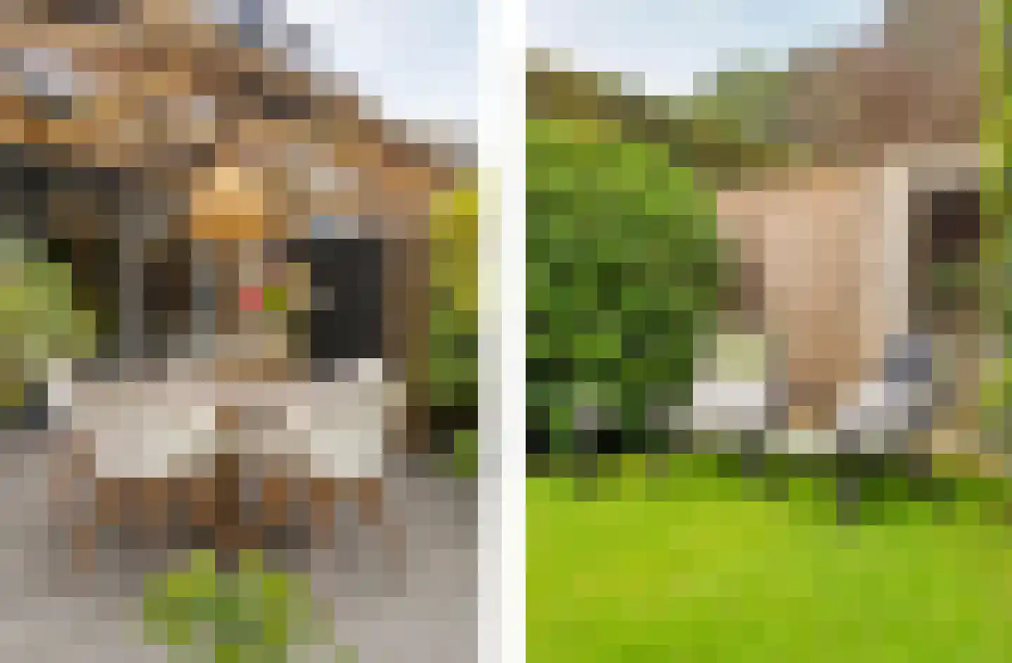 Europalaan 11 Harderwijk thumbnail 52