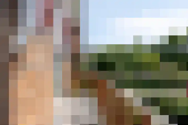 Europalaan 11 Heeze thumbnail 21
