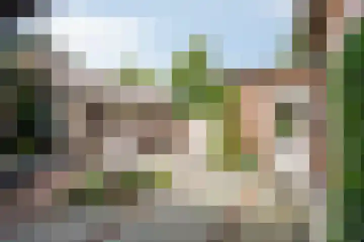 Europalaan 11 Heeze thumbnail 31