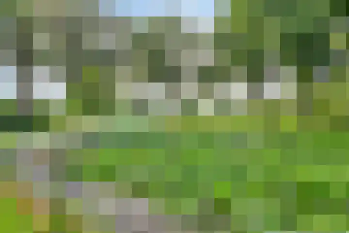 Europalaan 11 Heeze thumbnail 37
