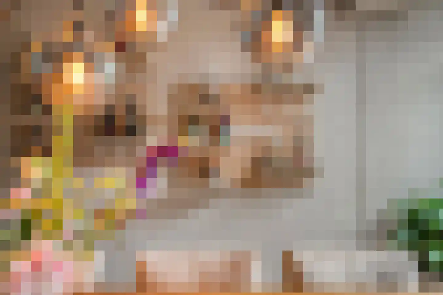 Europalaan 112 Nuenen thumbnail 13