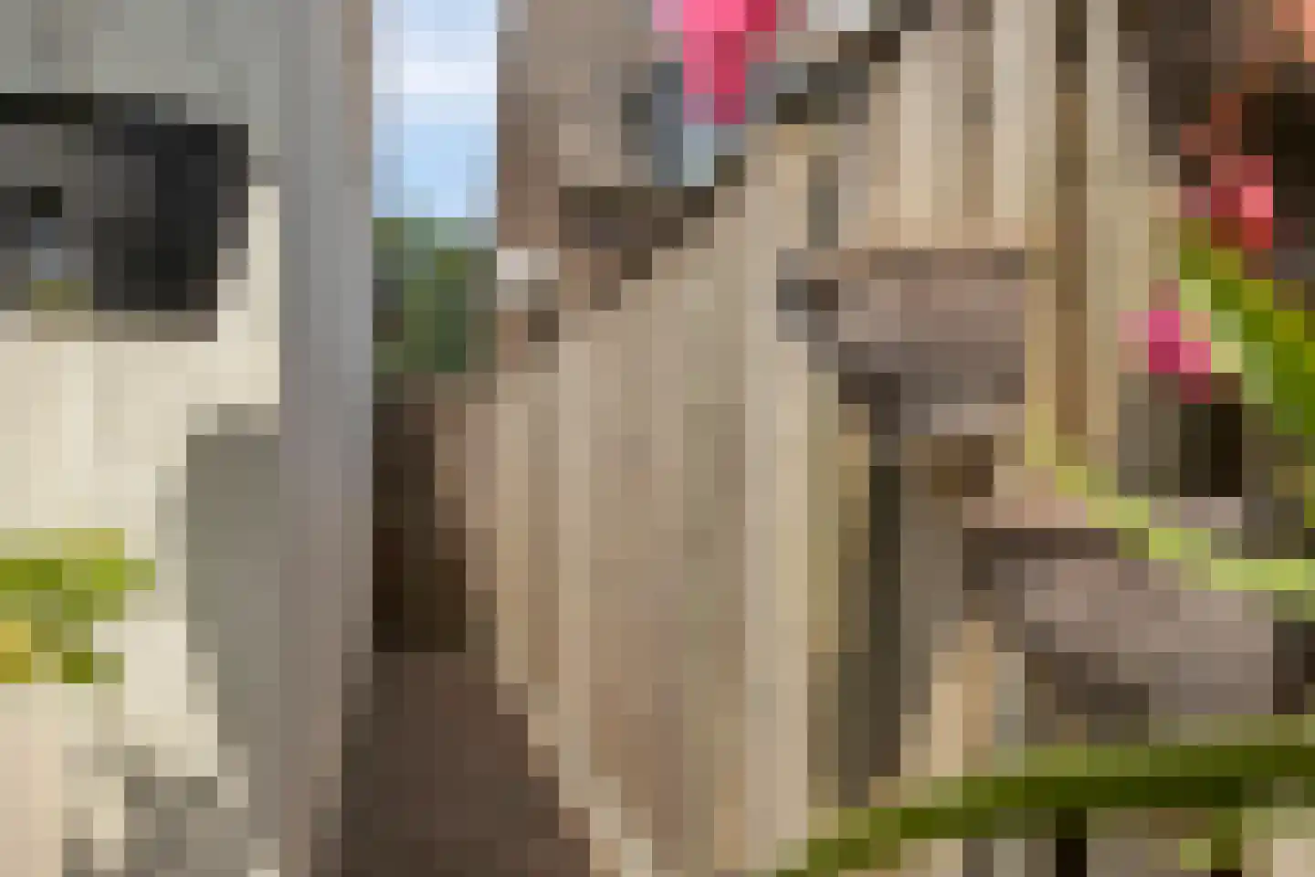 Europalaan 112 Nuenen thumbnail 35